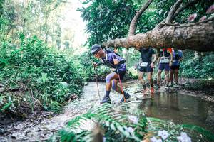 BIB: 
                            <button type="button" onclick="openModal(25446716)" class="btn btn-primary btn-sm float-right btn-popup" data-toggle="modal" data-target=".modal-high-quality">
                        <i class="fas fa-shopping-cart"></i> Add to Cart
                    </button>
                                            <button type="button" onclick="isThisMe(25446716, true)" class="btn btn-success btn-sm float-right btn-popup btn-isme hidden" data-toggle="tooltip" data-placement="bottom" title="นี่คือรูปของคุณใช่ไหม คลิกที่นี่เพื่อเอาเข้าอัลบั้ม">
                        <i class="fas fa-plus"></i> Add to album
                    </button>
                    <button type="button" onclick="isThisMe(25446716, false)" class="btn btn-warning btn-sm float-right btn-popup btn-isnotme hidden">
                        <i class="fas fa-ban"></i> Remove from album
                    </button>